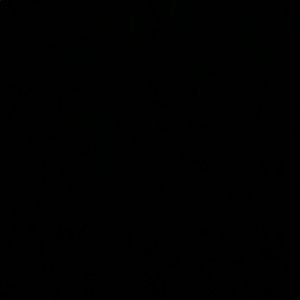 Meet your Posher, Jake